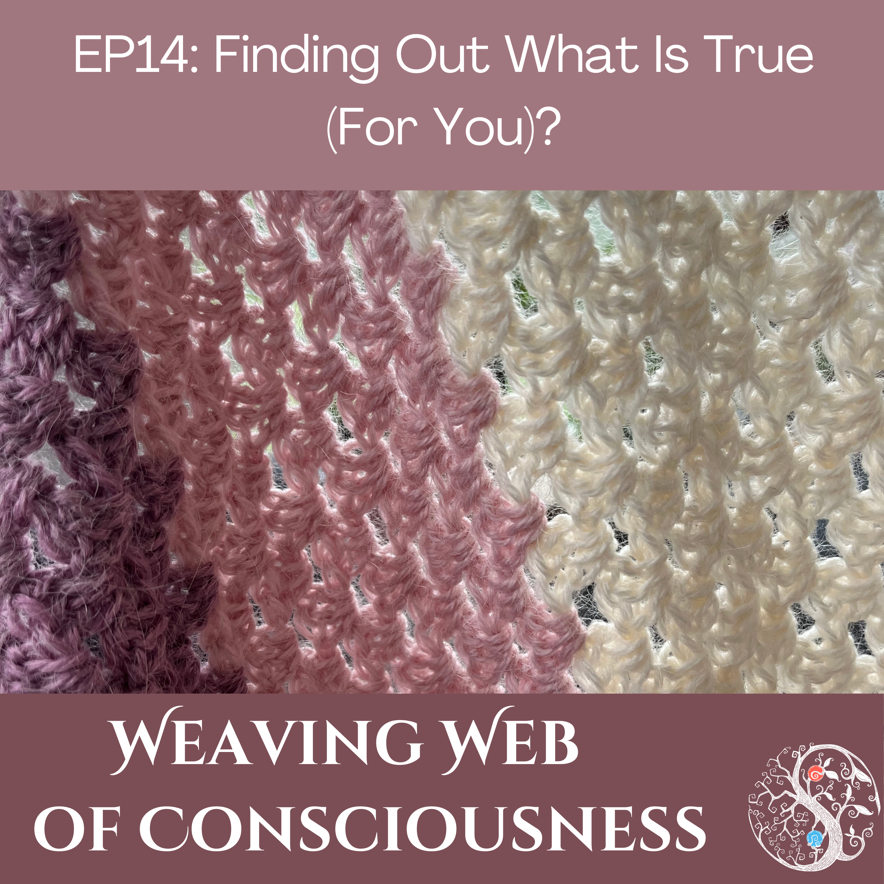 Ep 14 Finding Out What Is True (For You)?